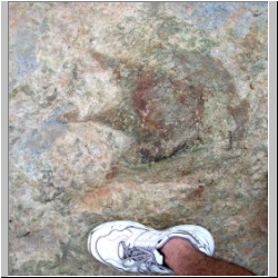 100_1672 (2009-07-29s)mod2.jpg